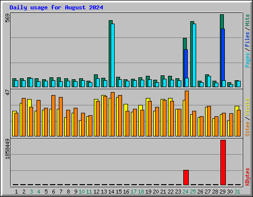 Daily usage for August 2024