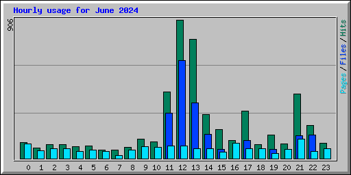 Hourly usage for June 2024