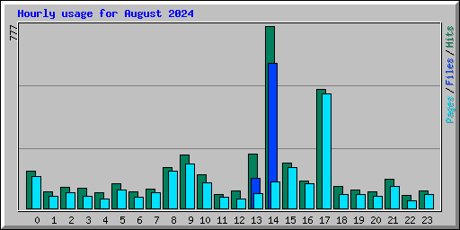 Hourly usage for August 2024