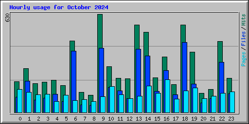 Hourly usage for October 2024